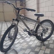 دوچرخه دنده ای viva