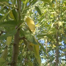 فروش زمین کشاورزی