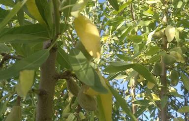 فروش زمین کشاورزی