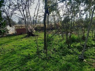 1500 متر زمین فروشی با سند