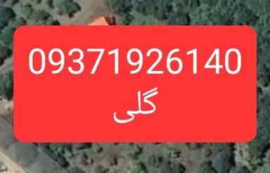 2,800 متر زمین و باغ مرکبات