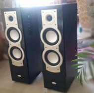 باند. ایستاده . اسپیکر