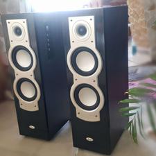 باند. ایستاده . اسپیکر