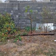 یک پایه سه متری