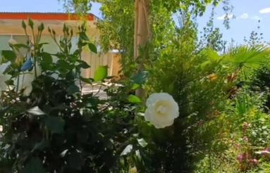 فروش باغ اصفهانک