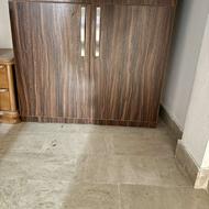 جاکفشی در حدنو