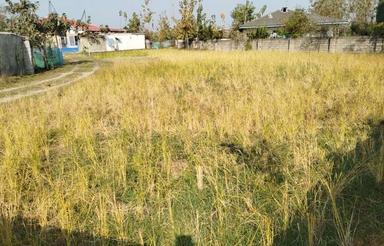 300 متر زمینباسنت