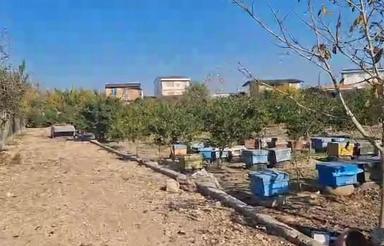 فروش زمین کشاورزی 1000 متر در هولا - ذغالچال