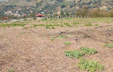 1400 متر زمین با ویو عالی