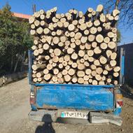 خریدچوب صنوبر