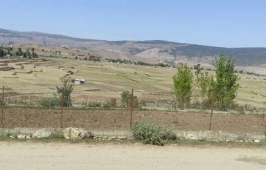 4000 متر زمین با کلیه امکانات در دودانگه