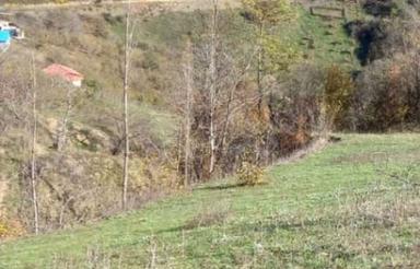 فروش زمین 1800 متری در رامسر