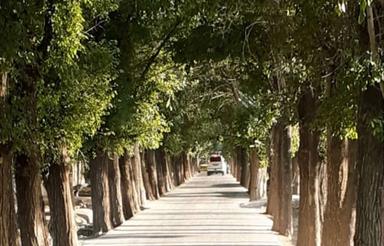 1200 متر چهار دیواری اصفهانک