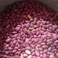 لوبیا قرمز ب شرط