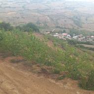 زمین کشاورزی و باغ