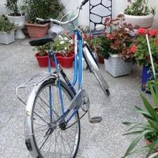 دوچرخه 26 المان