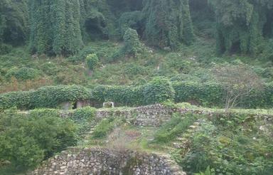 ویلا استخردار سنا جکوزی درزیباترین لوکیشن درشهر متل قو