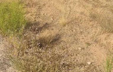 فروش 162 متر زمین در اوغلی تبریز