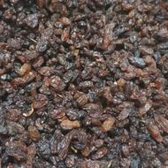 کشمش افتابی کاشمر