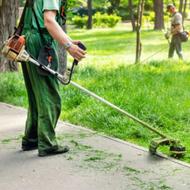 باغبانی و فضای سبز