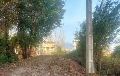 ماسال زمین مسکونی باسندتک برگ وپروانه