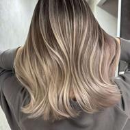 تخصص رنگ و لایت