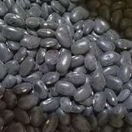 خریدار لوبیا سیاه