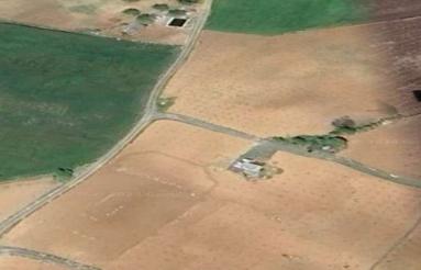 6000 متر باغ انگور 6ساله باثمر دهی عالی