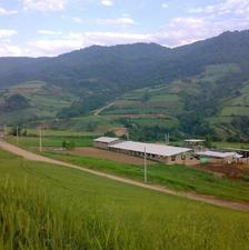 کارگر دامداری مقیم