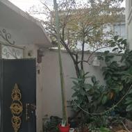 گل کاکتوس سوس