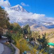 زمین مسکونی در جاده هزار بعد پلور روستای رینه