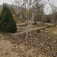 باغ شهری 4000 متری و 1000 متری