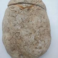 فروش فوری سنگ فسیل نایاب وزیبا