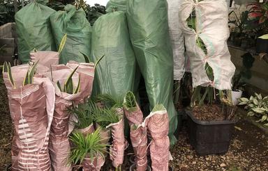 گلخانه دسته دوم