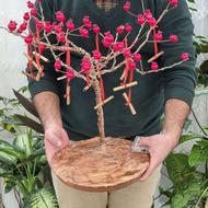 درخت انار لوکس وهنری شب یلدا