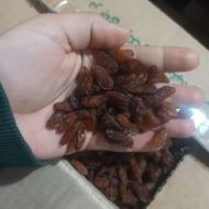 کشمش افتابی