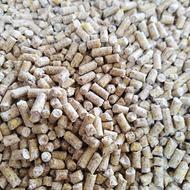 دان انواع جوجه مرغ کبوتر عروس قناری مینا