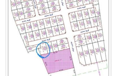 روستای صحنه،زمین خارج بافت نزدیک جاده بندر