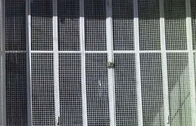 اجاره یک باب مغازه خوش نقش