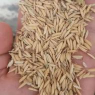 شلتوک خالص هاشمی