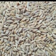 جو دیم دو ردیف