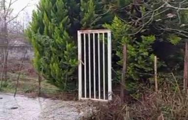 فروش زمین مسکونی 1000 متر در کچلک