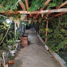 آدرس چرمهین زمین مسکونی به شکل باغ و ویلا 500متر