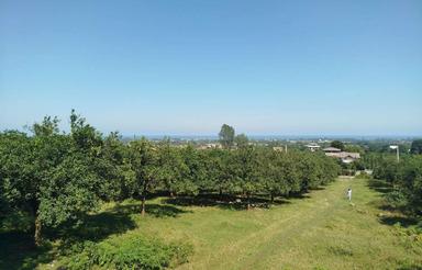 فروش زمین 3نیم هکتاری دوبر برای سرمایه‌گذاری و شهرک سازی