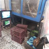 نیرو برای تولیدی سبد دوخانم یا زن مرد