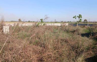 فروش یک قطعه زمین مسکونی 560 متر در دابودشت نرگس مرز