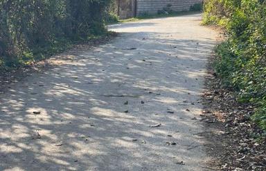 فروش انواع زمین مسکونی در کلیجان رستاق سنگبن سلیم شیخ 