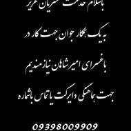 باغسرای امیر شاهان