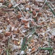 خوراک کامل گاو و گوسفند