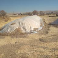 کاە ریز کمباین